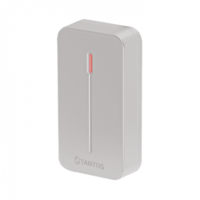 TS-RDR-E mini (серый) Считыватель EM-Marine